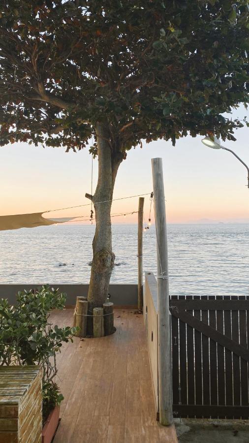 Vila Casa Juppa Palhoça Exteriér fotografie